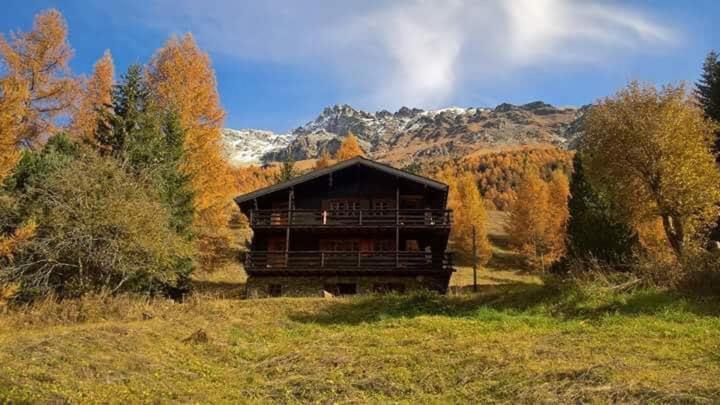 Chalet Singlinaz Apartment Zinal Bagian luar foto