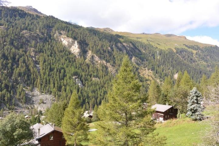 Chalet Singlinaz Zinal Bagian luar foto