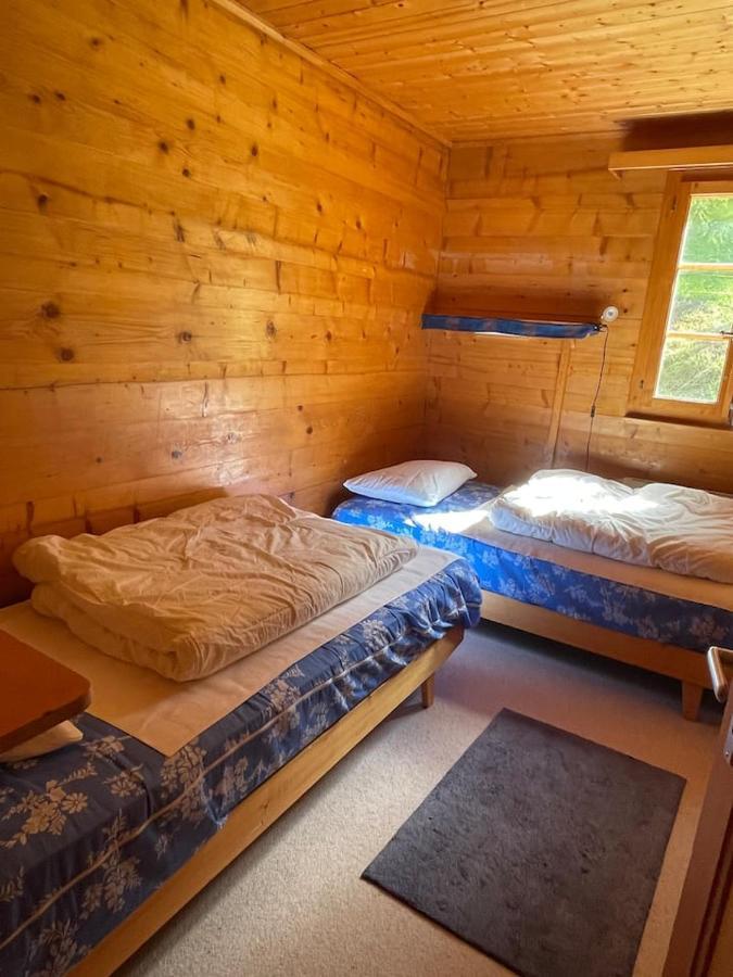 Chalet Singlinaz Zinal Bagian luar foto